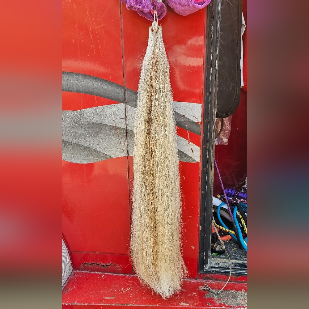 Horse Tail extension